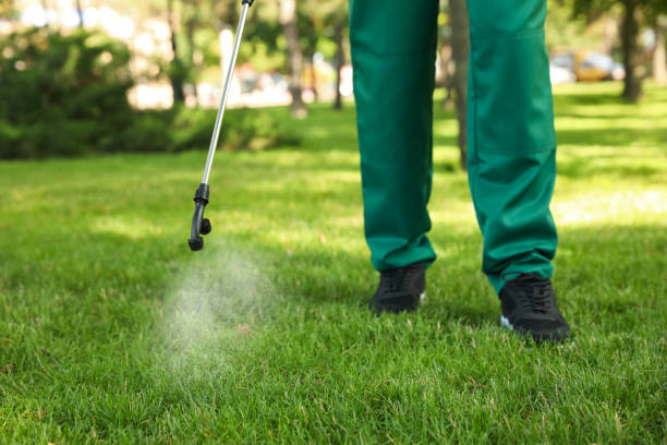 Best Mosquito Control Services  in Galena, OH